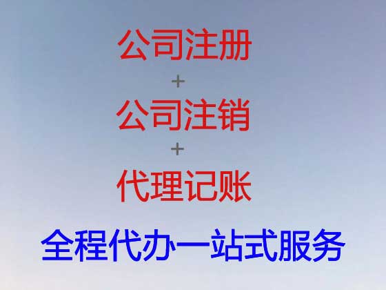 南阳公司注册代办